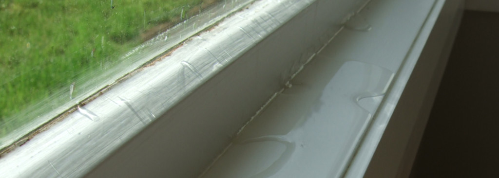 Wet Windows are a sign of poor home performance