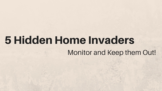 5 Hidden Home Invaders
